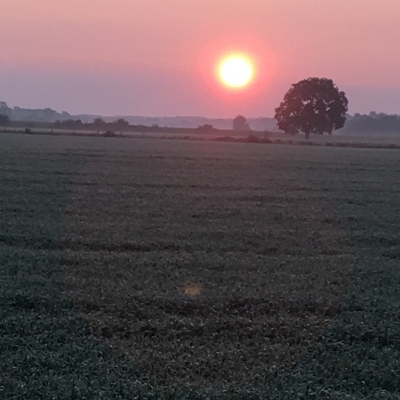 Meet your Posher, Paige - Picture 6 of 9